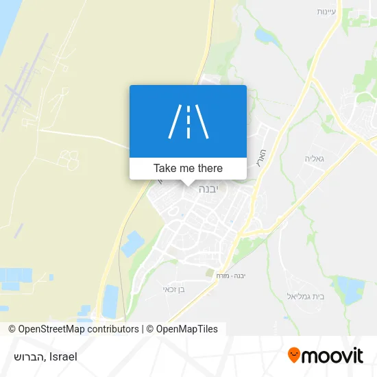 Карта הברוש