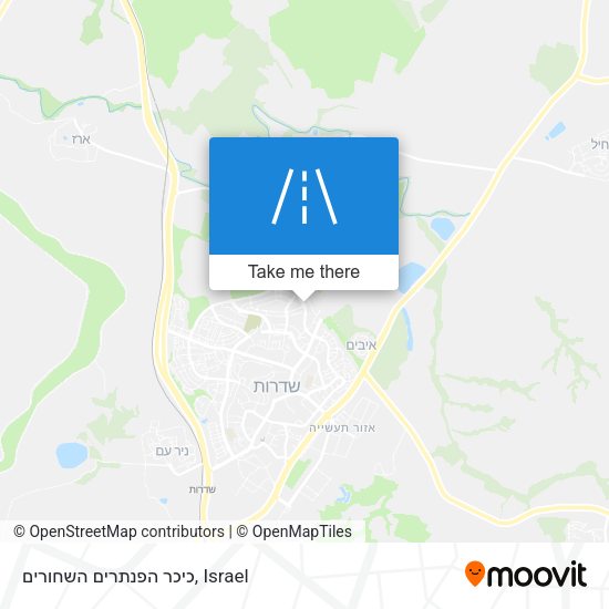 כיכר הפנתרים השחורים map