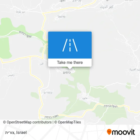 Карта צורית