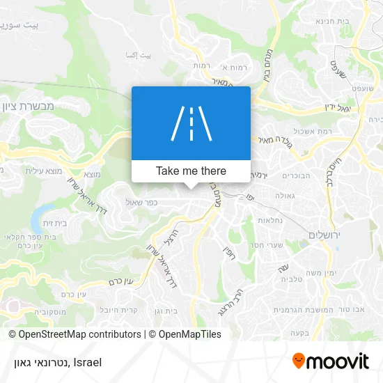 Карта נטרונאי גאון