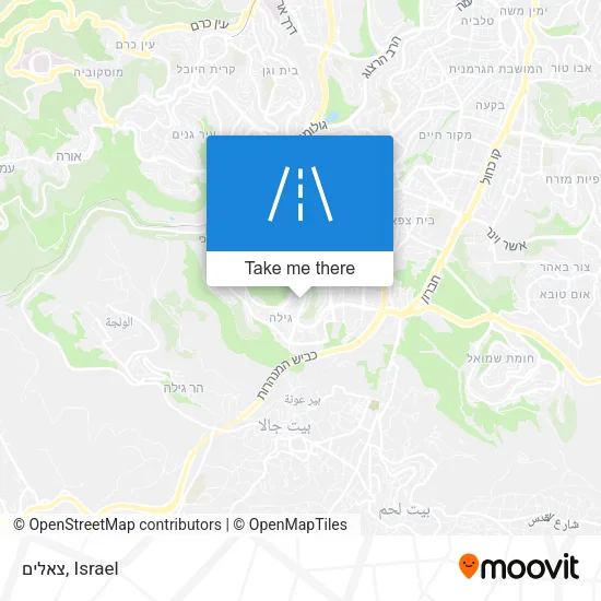 Карта צאלים