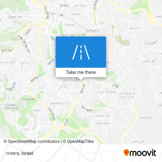 Карта ציפורה