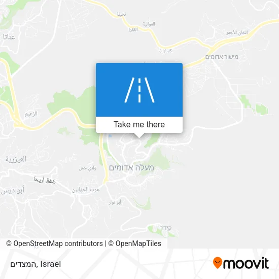 Карта המצדים