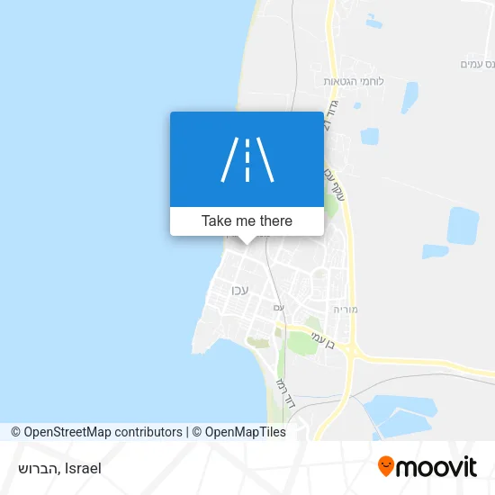 Карта הברוש