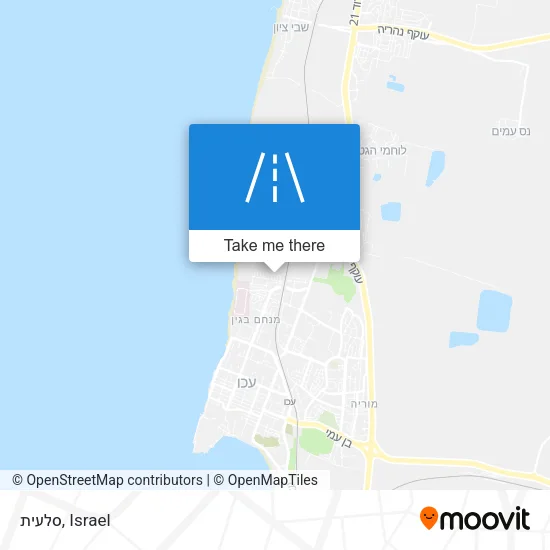 Карта סלעית