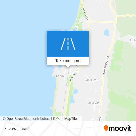 Карта הצבעוני