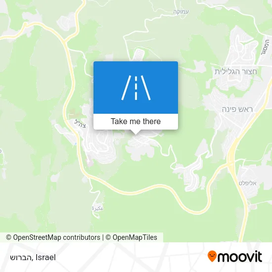Карта הברוש