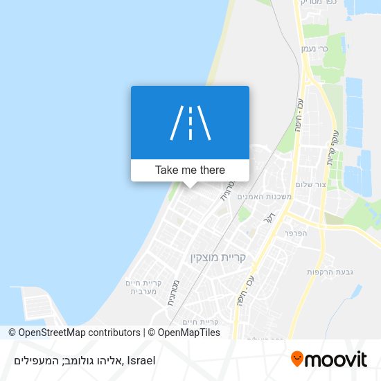 אליהו גולומב; המעפילים map