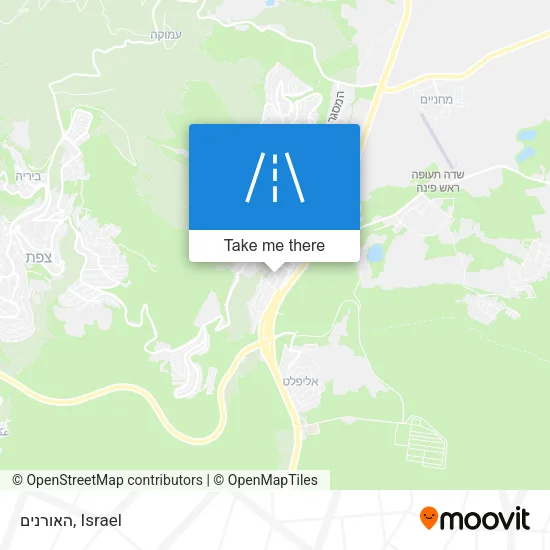 Карта האורנים