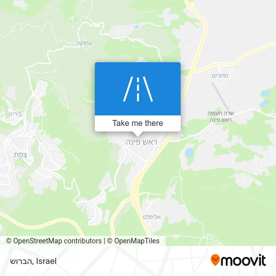 Карта הברוש