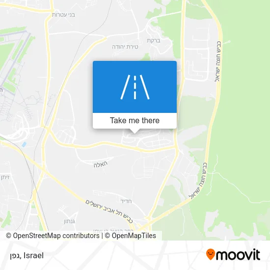 Карта גפן