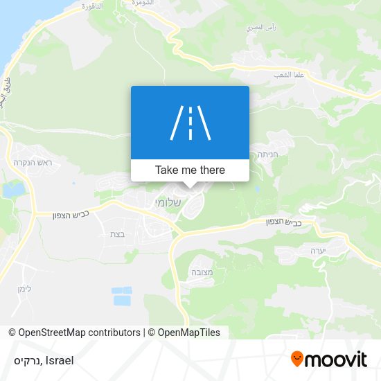 נרקיס map