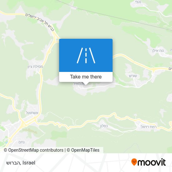 הברוש map