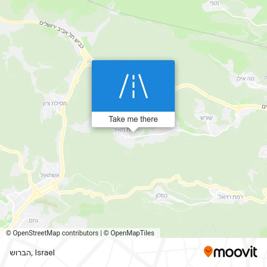 Карта הברוש