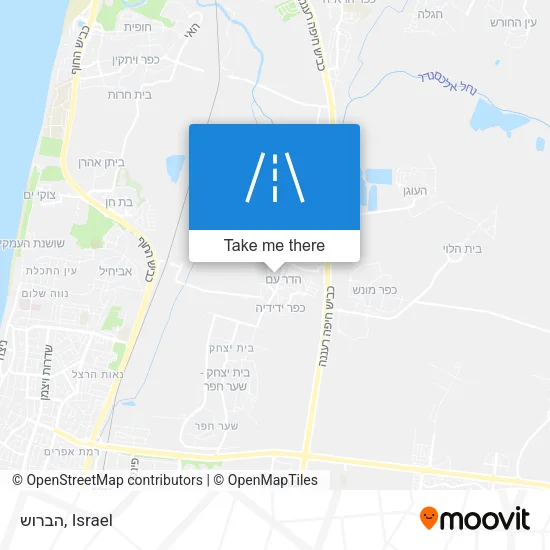 Карта הברוש