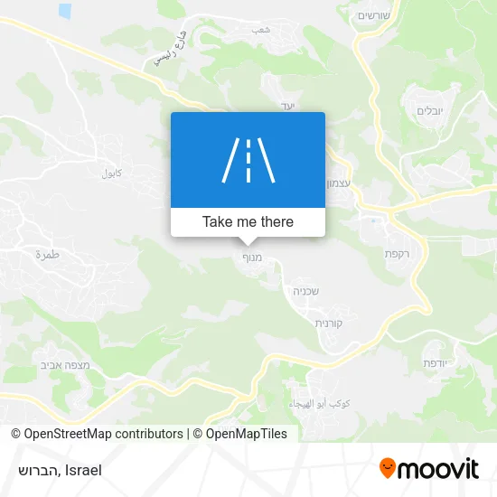 Карта הברוש