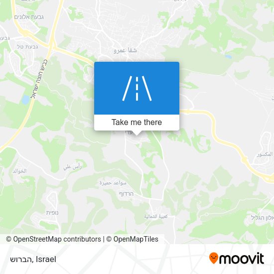 הברוש map