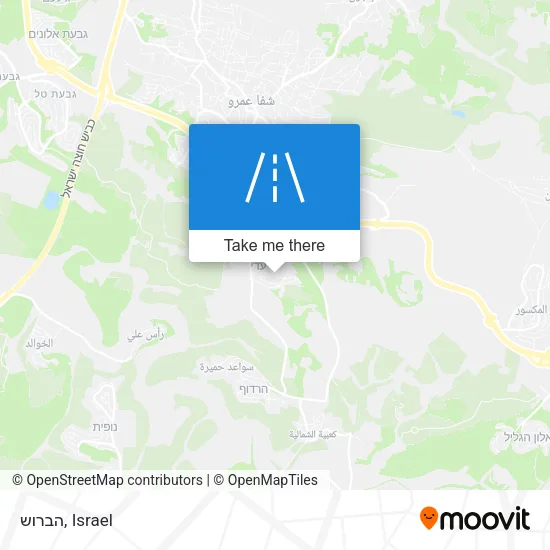 Карта הברוש