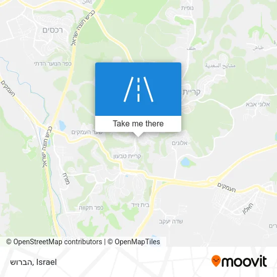 Карта הברוש