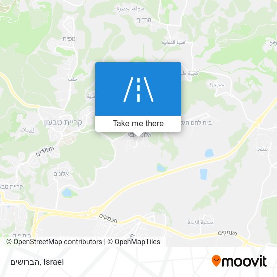 הברושים map