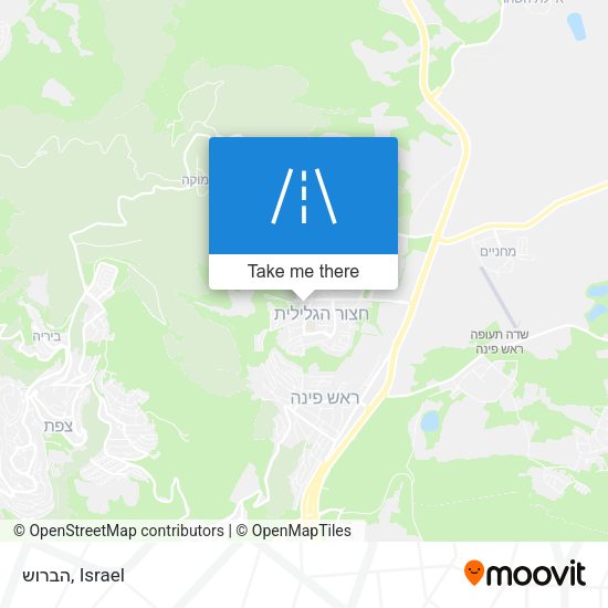 הברוש map