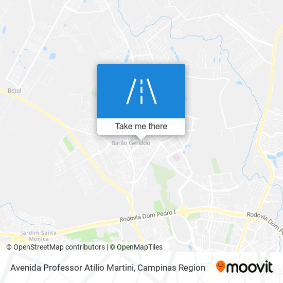 Avenida Professor Atílio Martini map
