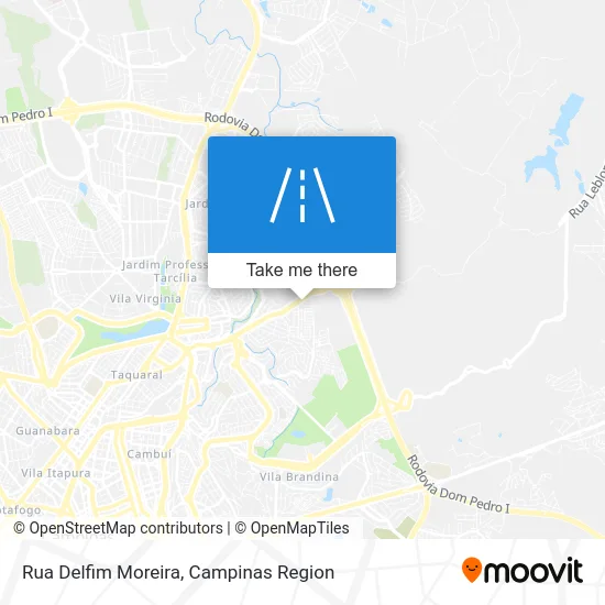 Rua Delfim Moreira map