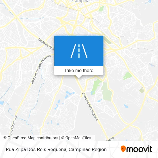 Rua Zilpa Dos Reis Requena map