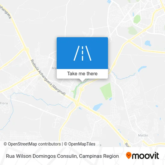 Rua Wilson Domingos Consulin map