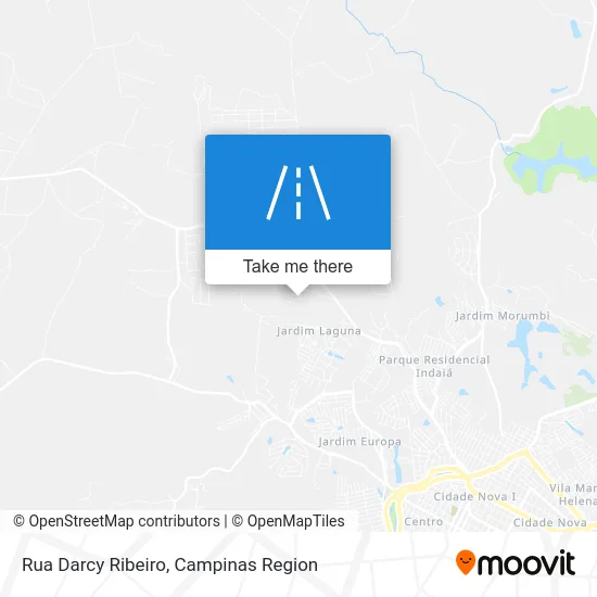 Rua Darcy Ribeiro map