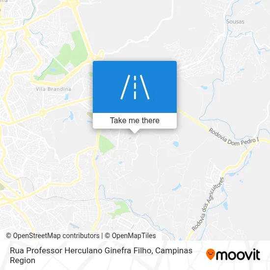 Rua Professor Herculano Ginefra Filho map