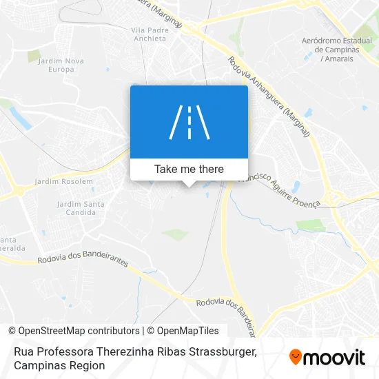 Rua Professora Therezinha Ribas Strassburger map