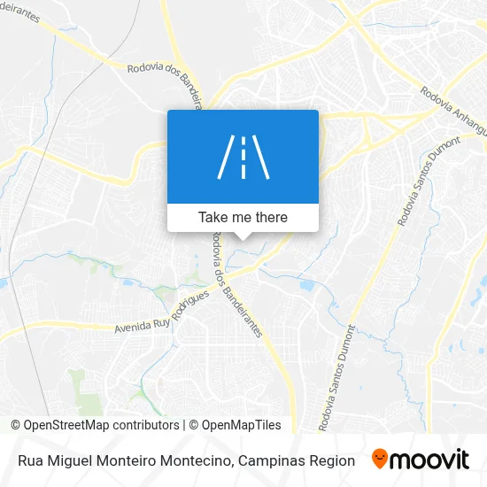 Rua Miguel Monteiro Montecino map
