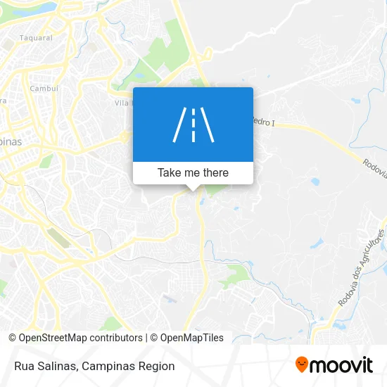 Rua Salinas map