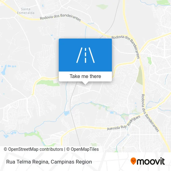 Rua Telma Regina map