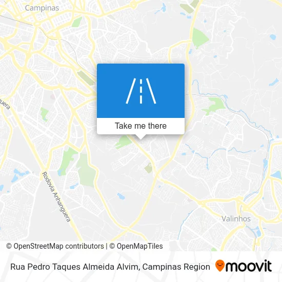 Rua Pedro Taques Almeida Alvim map