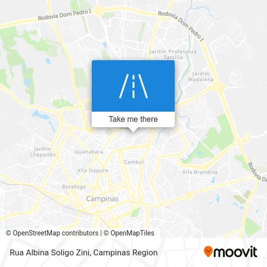Rua Albina Soligo Zini map