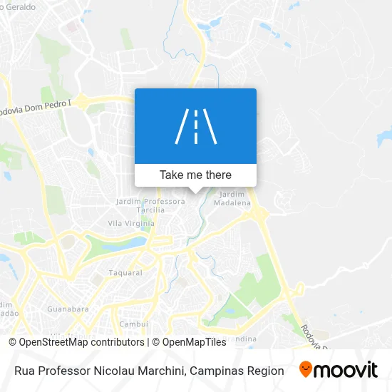 Rua Professor Nicolau Marchini map
