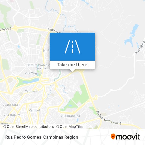 Rua Pedro Gomes map