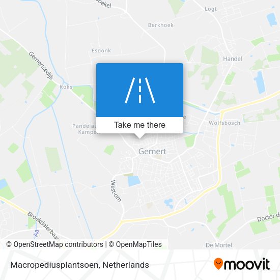 Macropediusplantsoen map