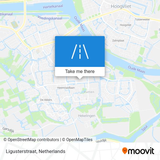 Ligusterstraat map