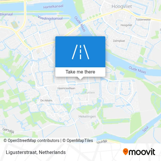 Ligusterstraat map