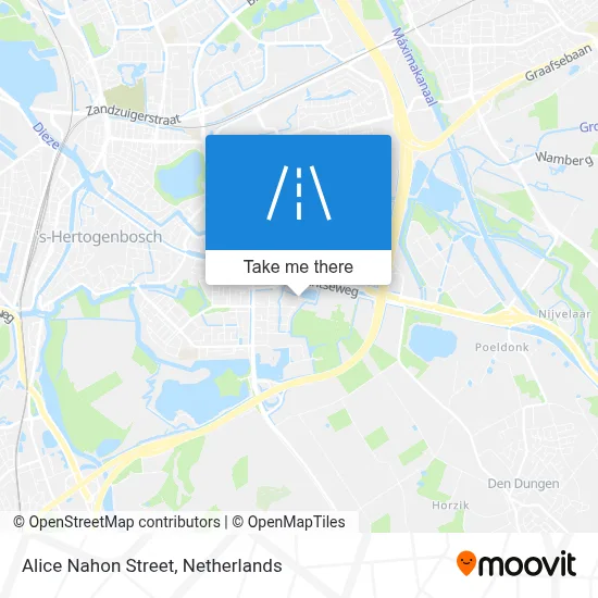 Alice Nahonstraat map