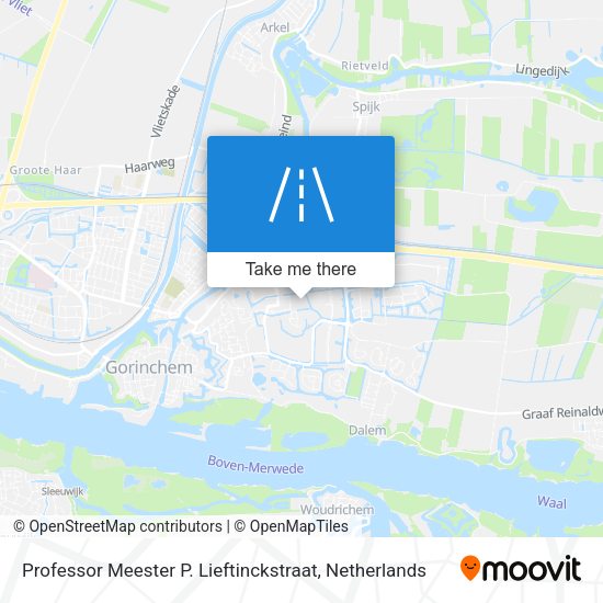 Professor Meester P. Lieftinckstraat map