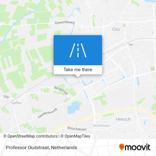 Professor Oudstraat map