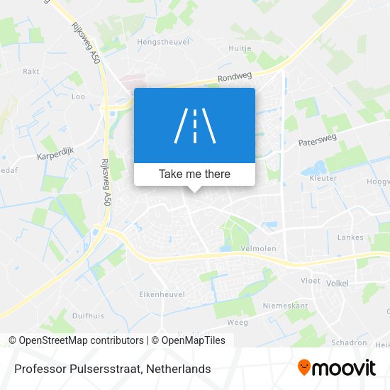 Professor Pulsersstraat map