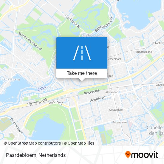 Paardebloem map