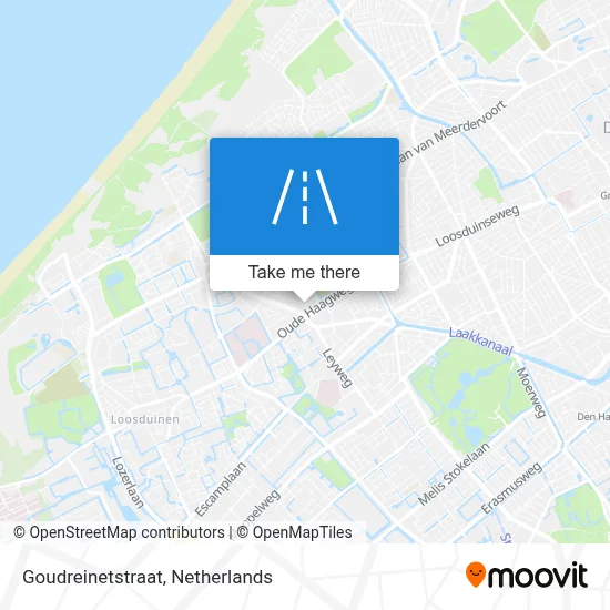 Goudreinetstraat map