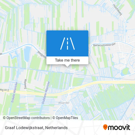 Graaf Lodewijkstraat map