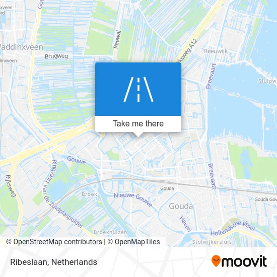 Ribeslaan map